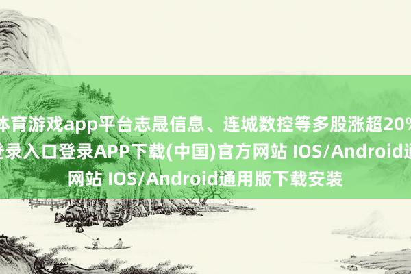 体育游戏app平台志晟信息、连城数控等多股涨超20%-开云kaiyun登录入口登录APP下载(中国)官方网站 IOS/Android通用版下载安装