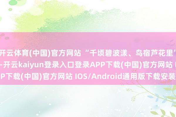 开云体育(中国)官方网站 “千顷碧波漾、鸟宿芦花里”的大湖好意思景重现-开云kaiyun登录入口登录APP下载(中国)官方网站 IOS/Android通用版下载安装