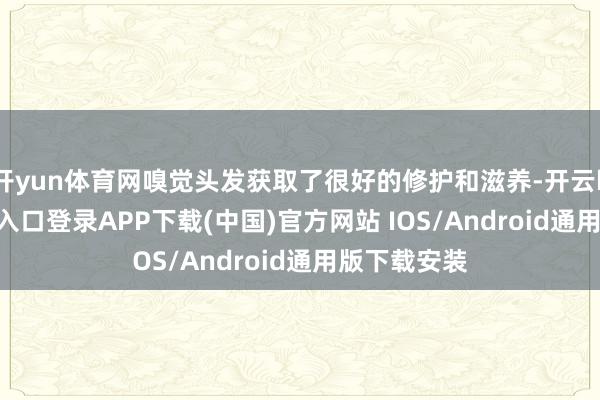 开yun体育网嗅觉头发获取了很好的修护和滋养-开云kaiyun登录入口登录APP下载(中国)官方网站 IOS/Android通用版下载安装