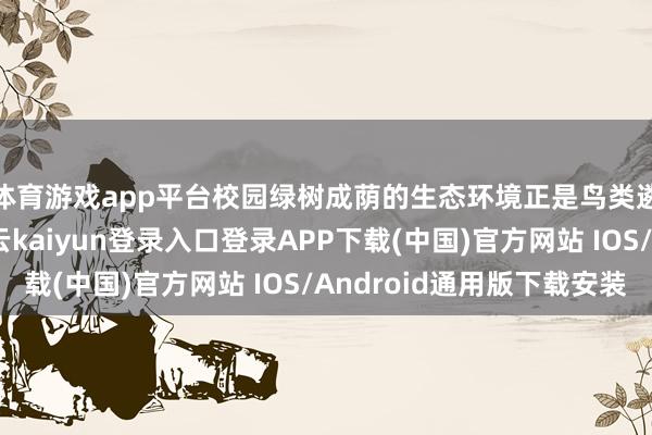 体育游戏app平台校园绿树成荫的生态环境正是鸟类遴选栖息的原因-开云kaiyun登录入口登录APP下载(中国)官方网站 IOS/Android通用版下载安装
