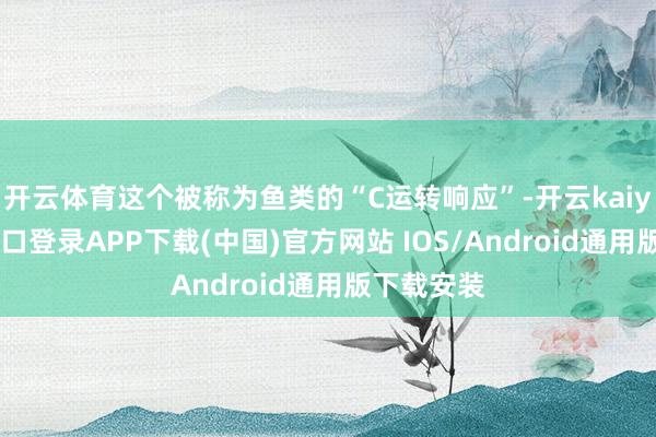 开云体育这个被称为鱼类的“C运转响应”-开云kaiyun登录入口登录APP下载(中国)官方网站 IOS/Android通用版下载安装
