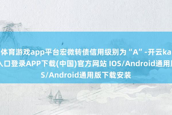 体育游戏app平台宏微转债信用级别为“A”-开云kaiyun登录入口登录APP下载(中国)官方网站 IOS/Android通用版下载安装